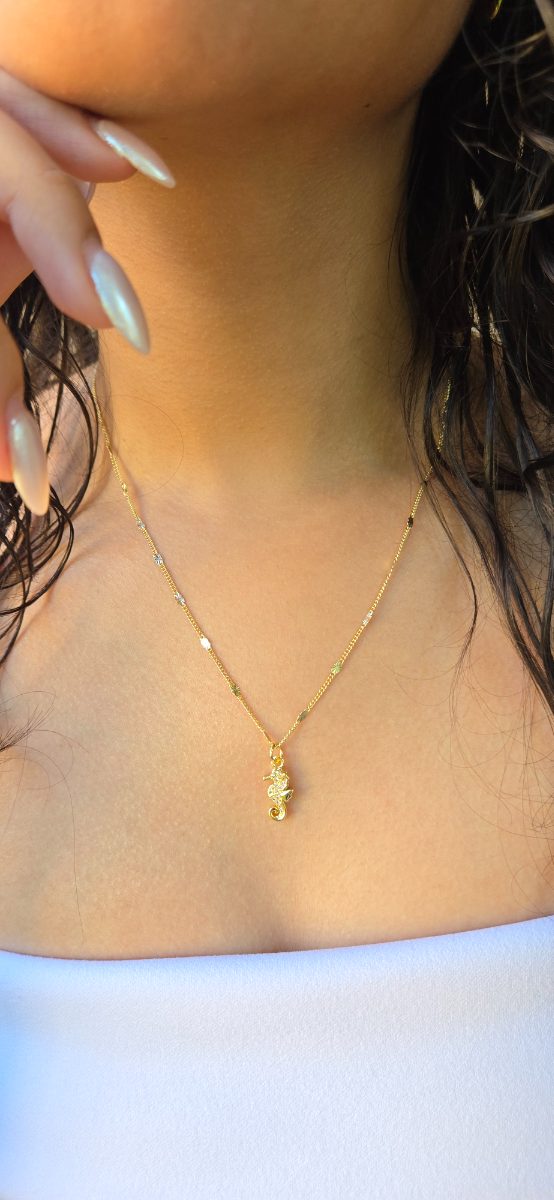 Sea Horse Chain